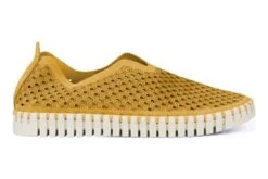 ILSE JACOBSEN Tulip139